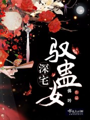 系统绑错人后,我的修仙路走歪了全文免费阅读