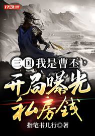 三国:我是曹丕,开局曝光私房钱全文免费阅读